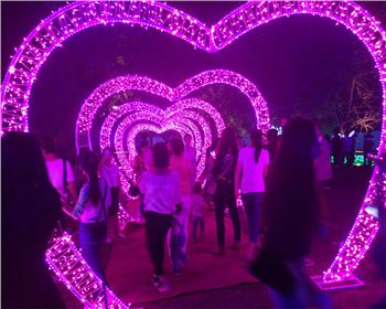 燈光節(jié)-節(jié)日亮化